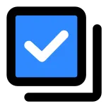 Full Selection SVG Icon